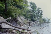 Erosion at Mountain Avenue bluff